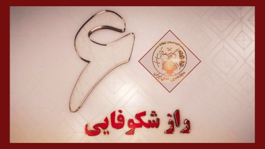 راز شکوفایی