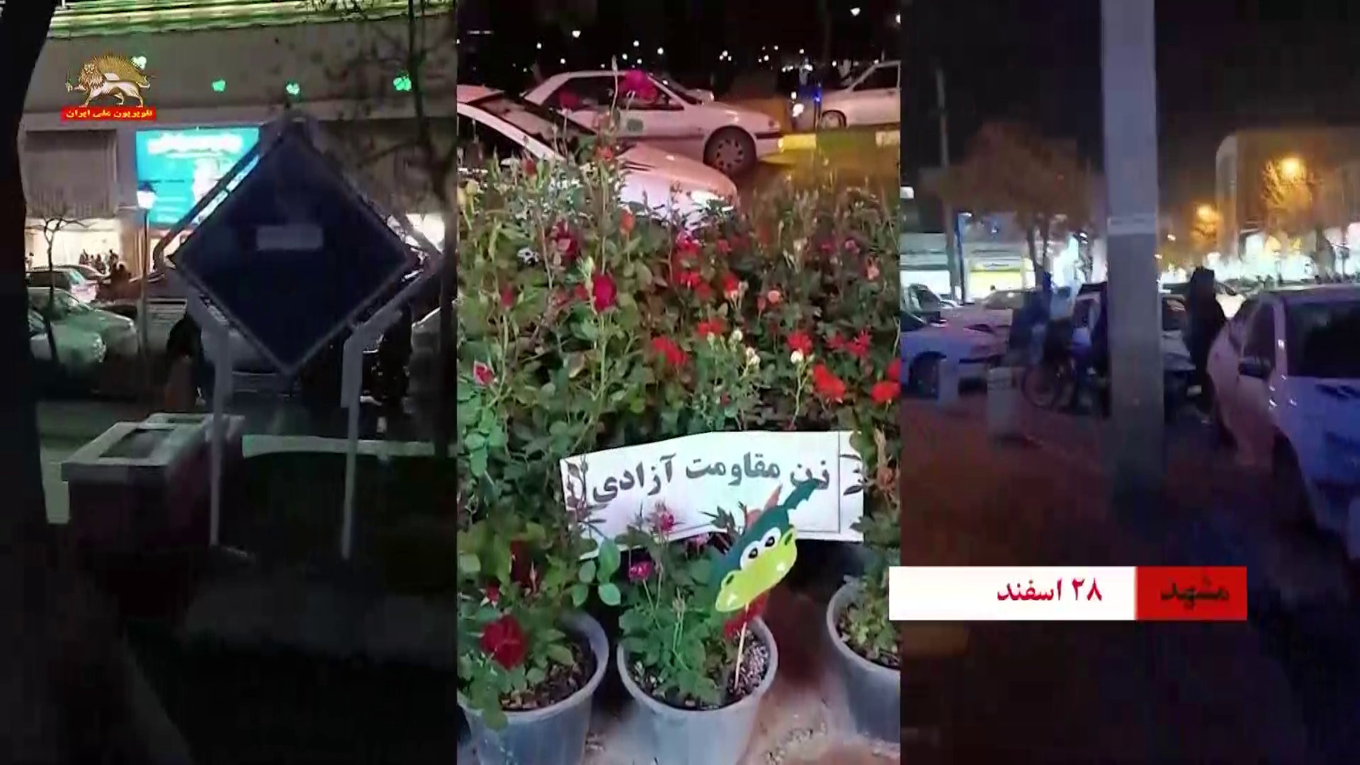 زن مقاومت آزادی