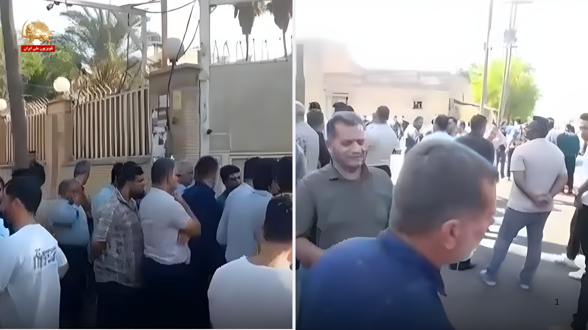 تجمع اعتراضی تراکتور داران