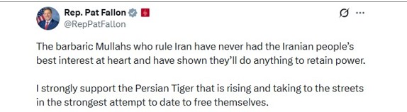 رابرت پت فالون 