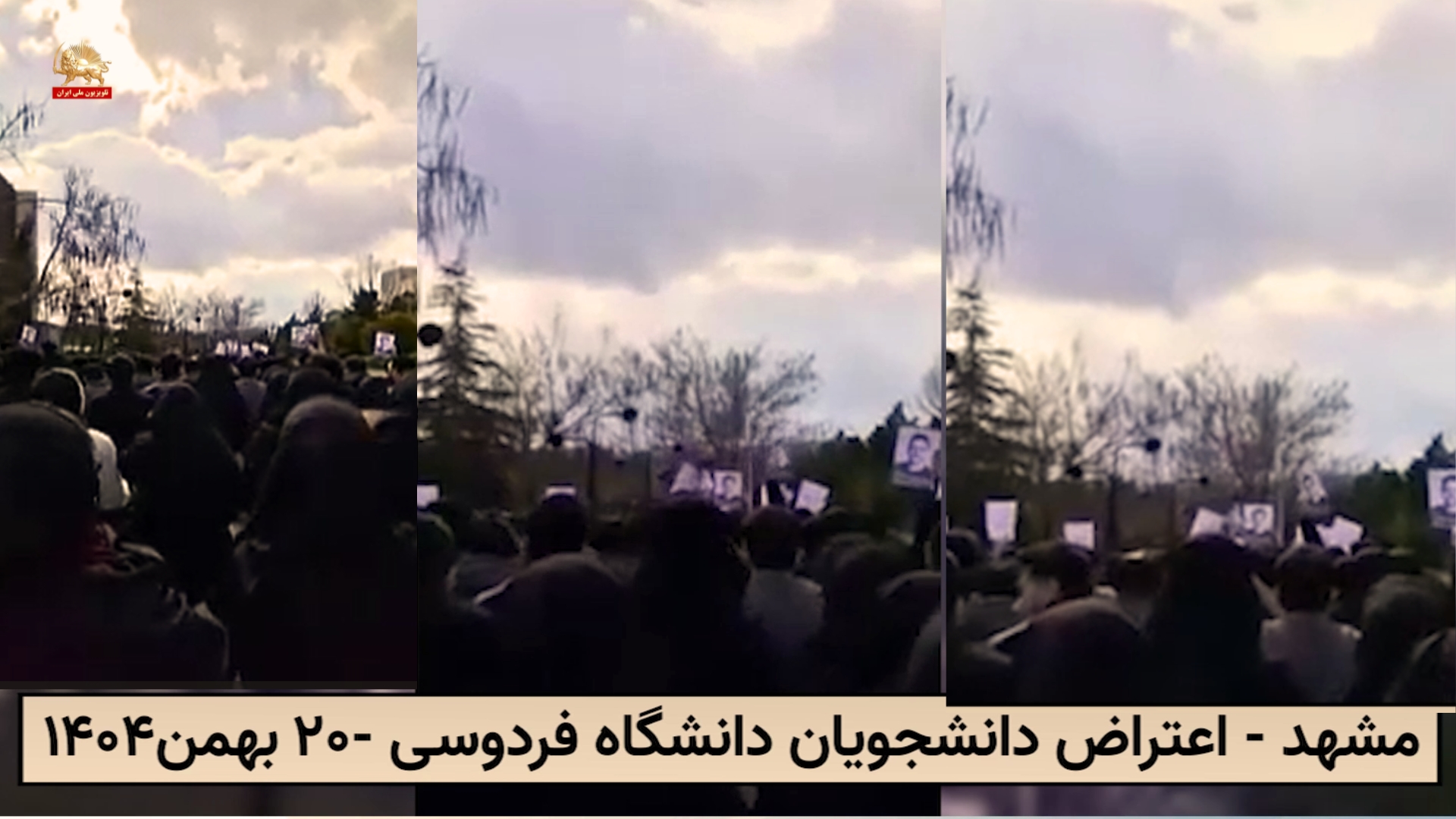 دانشگاه فردوسی