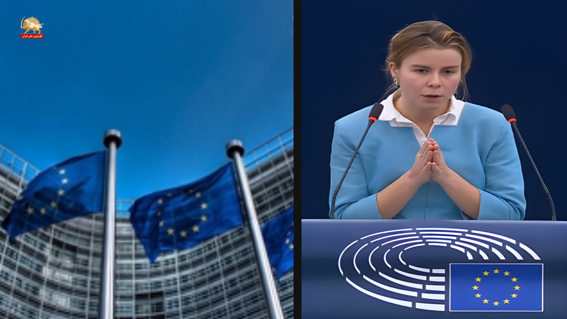 نماینده پارلمان اروپا - قیام