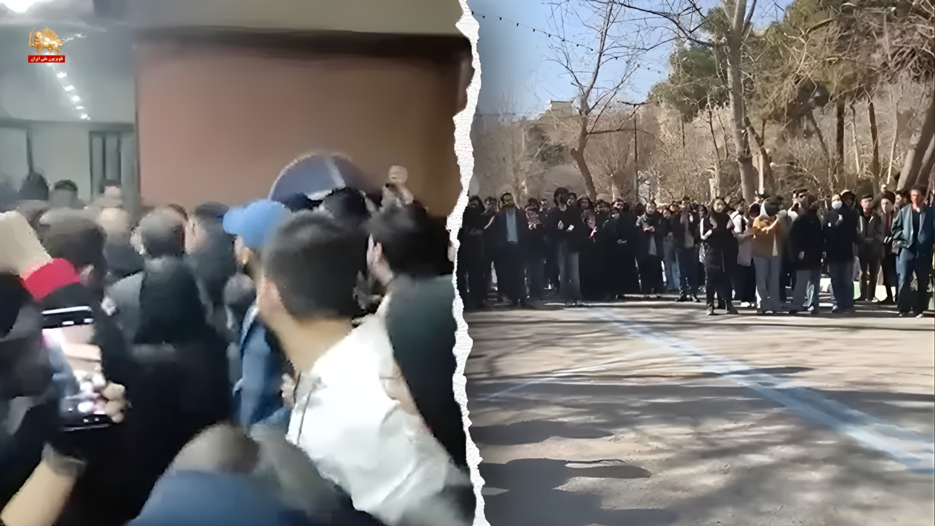 گزارش فاکس نیوز