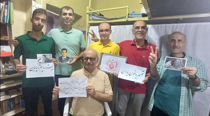 ۶سرو سرفراز در یک قاب