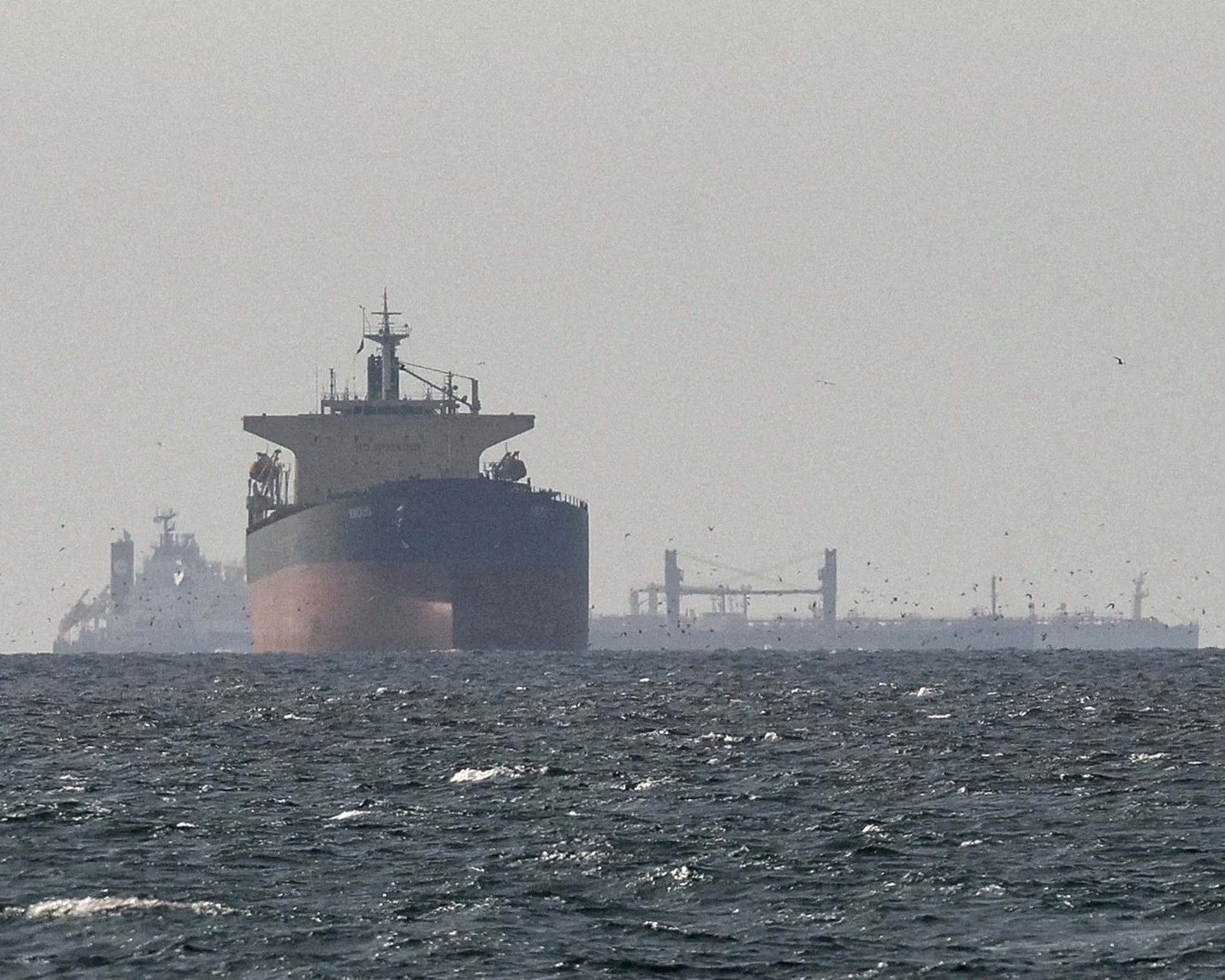 Cargo ships in the Gulf, near the strait of Hormuz- Photograph  Reuters