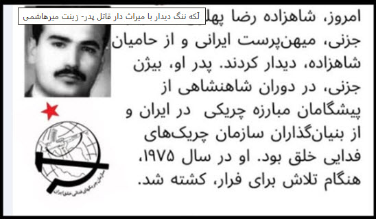 ضمیمه ۲ لکه ننگ جزنی