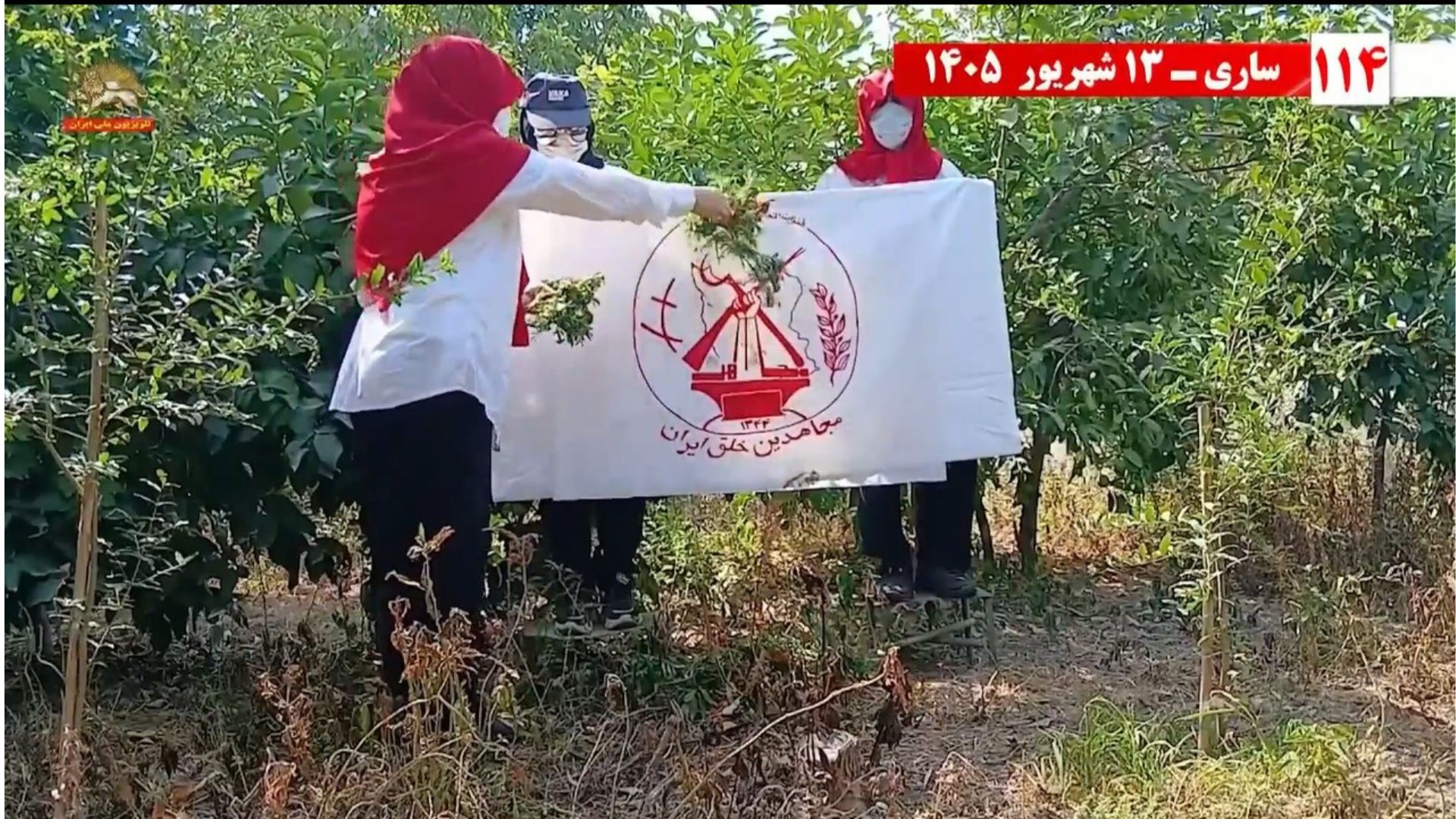 پراتیک انقلابی شورشگران ۱۱